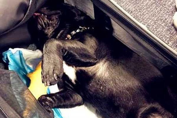 神來之筆！梅森迎著防守超遠(yuǎn)三分壓哨拋投命中